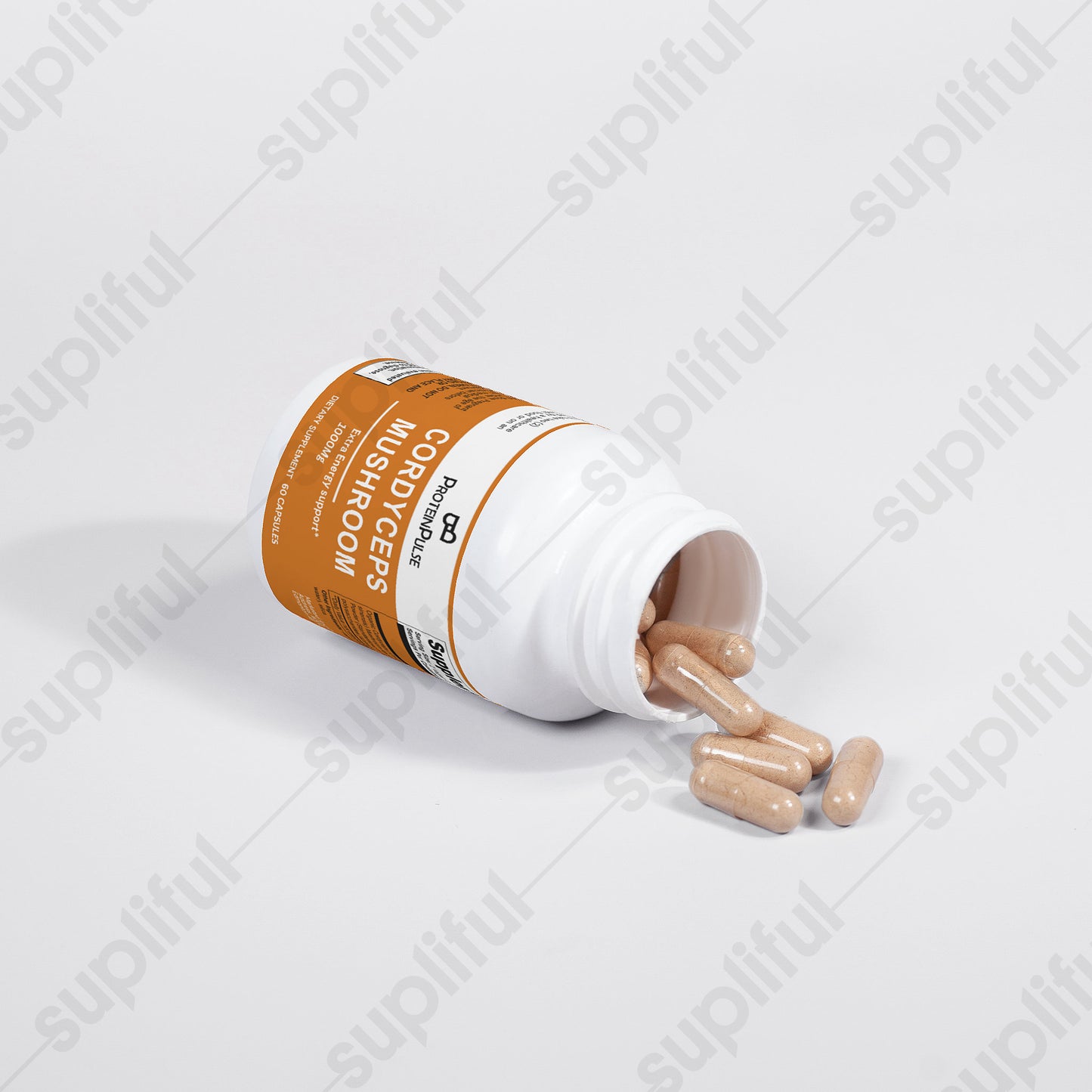 Cordyceps Mushroom